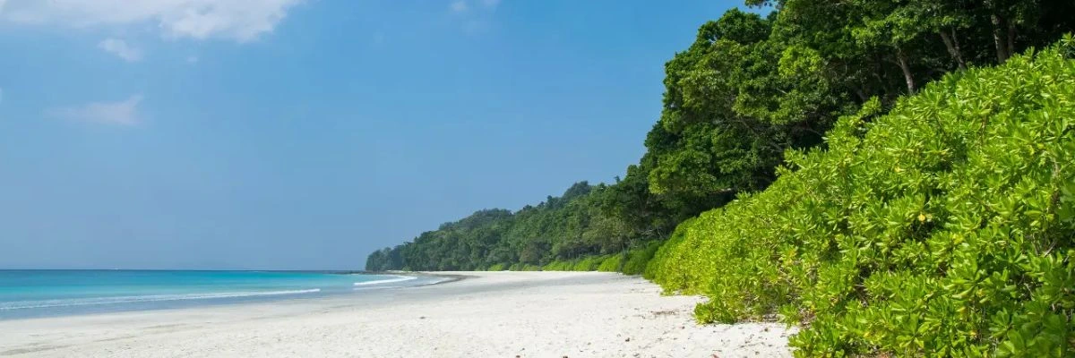 Traveller planning itinerary with map and beach view in Andamans